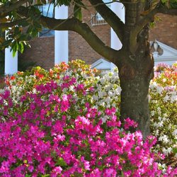 exterior at Beacon Ridge located in College Park, GA
