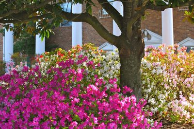 exterior view at Beacon Ridge located in College Park, GA
